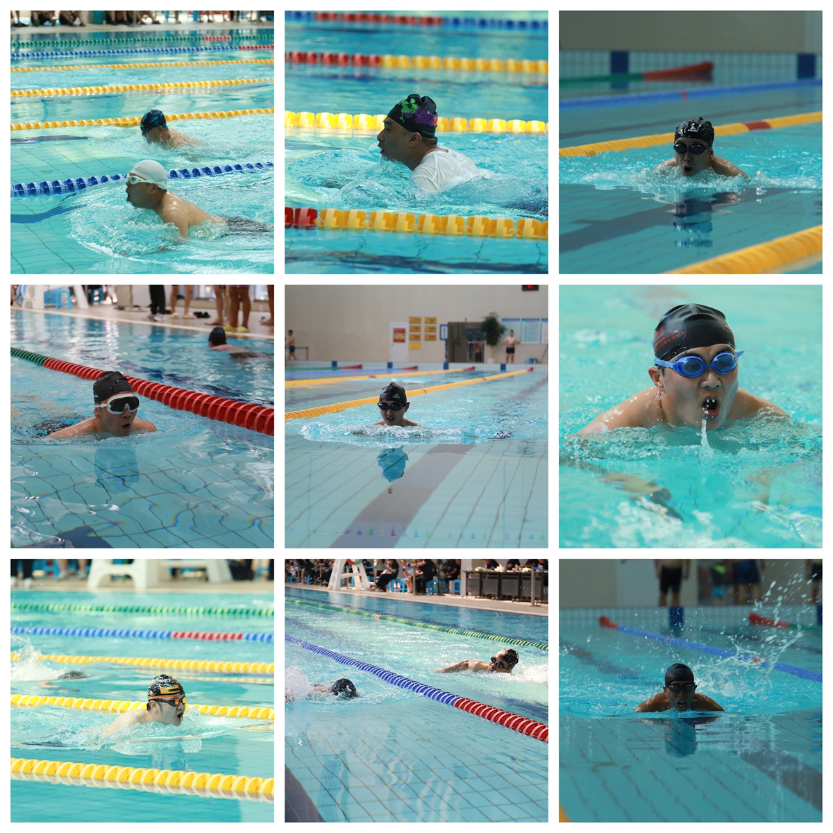 1756431670592676.jpg 光影魔術手拼圖4.jpg